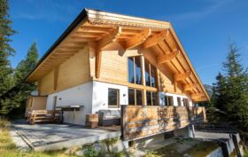 Chalet_Zillertal_Arena_XL_42_.jpg