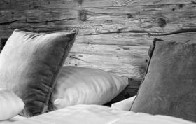 Chalet_Zillertal_Arena_1_10_.jpg
