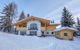 Chalet_Zillertal_Arena_1_14_.jpg