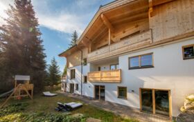 Chalet_Zillertal_Arena_1_20_.jpg