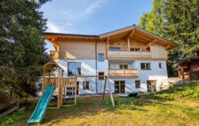 Chalet_Zillertal_Arena_1_21_.jpg