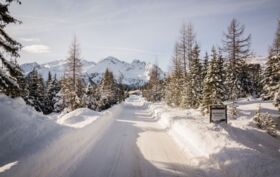 Chalet_Zillertal_Arena_1_32_.jpg