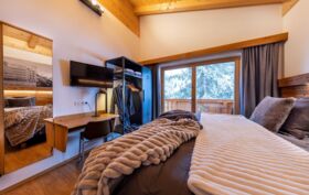 Chalet_Zillertal_Arena_1_48_.jpg