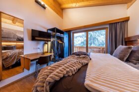 Chalet_Zillertal_Arena_1_48_.jpg