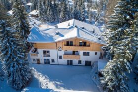 Chalet_Zillertal_Arena_1_63_.jpg