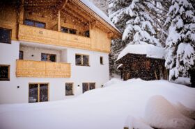 Chalet_Zillertal_Arena_1_65_.jpg