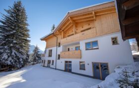 Chalet_Zillertal_Arena_2_50_.jpg