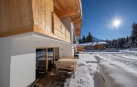 Chalet_Zillertal_Arena_3_64_.jpg