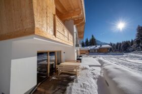 Chalet_Zillertal_Arena_3_64_.jpg