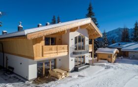 Chalet_Zillertal_Arena_3_65_.jpg